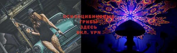 герыч Бердск