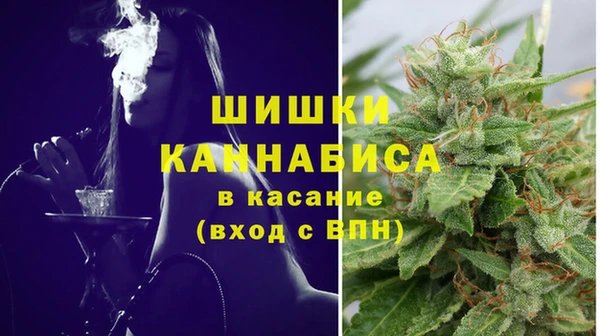 тгк Артём