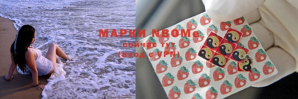 МДПВ Ряжск