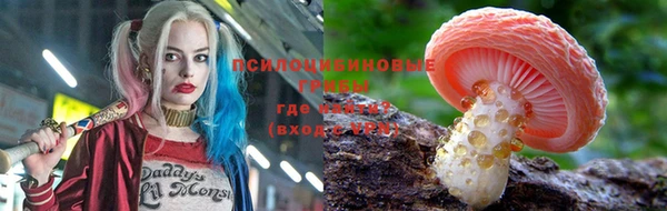 герыч Магас