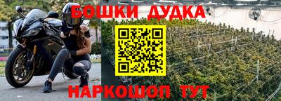 сатива Аргун