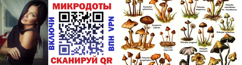 Галлюциногенные грибы Magic Shrooms  Владивосток 