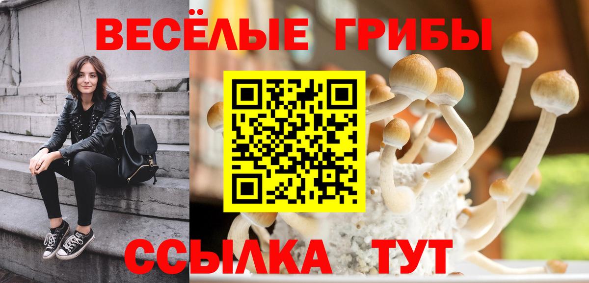 Псилоцибиновые грибы Cubensis Владивосток