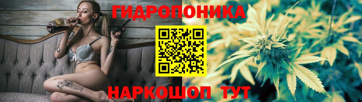 Конопля ГИДРОПОН Владивосток